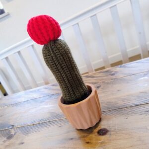 Red Top Cactus