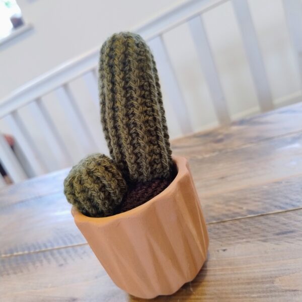 Cactus - Image 2