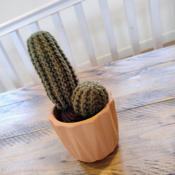 Cactus - Image 3